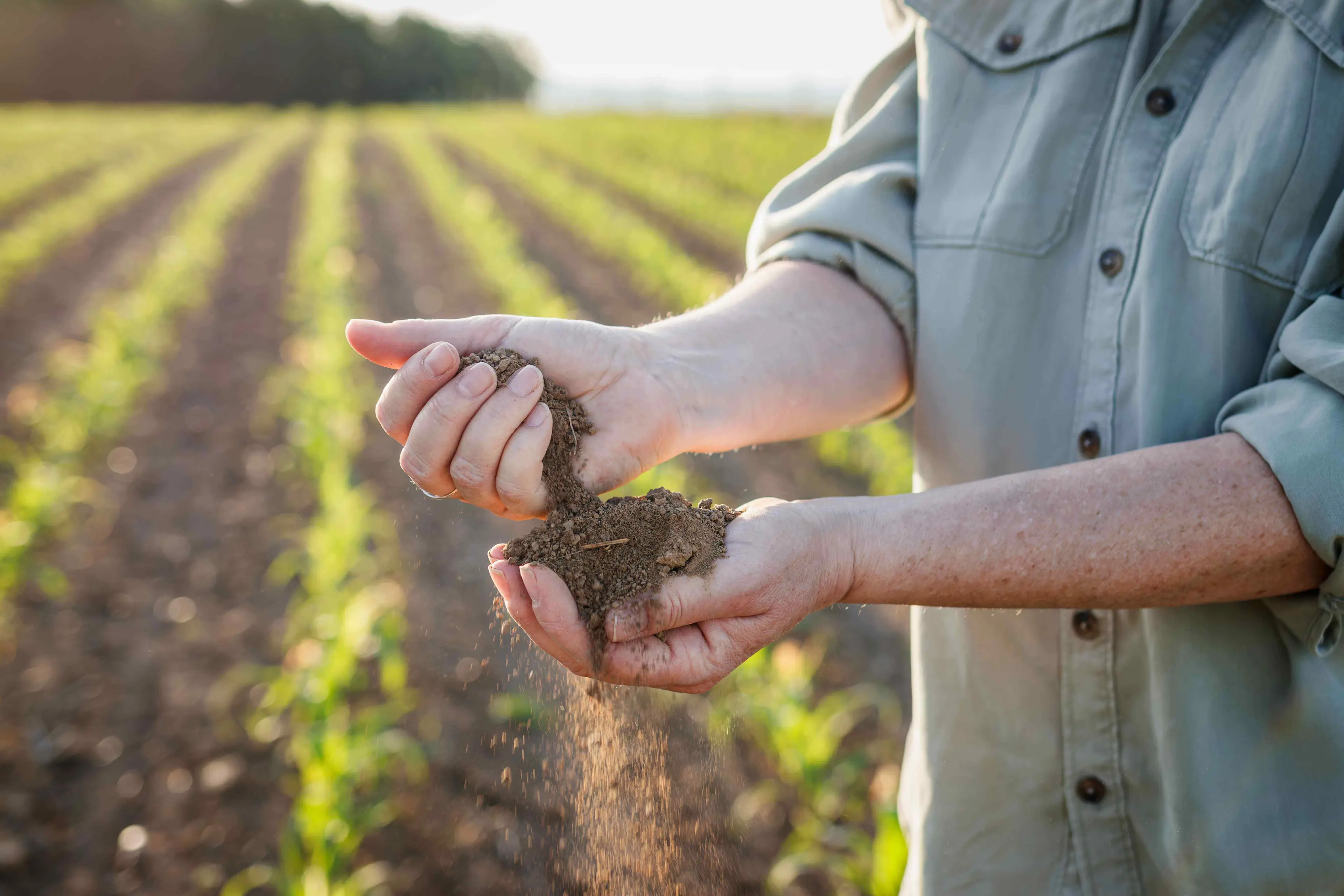 An agronomist in a Midwest crop field checking the soil for early season planting.

