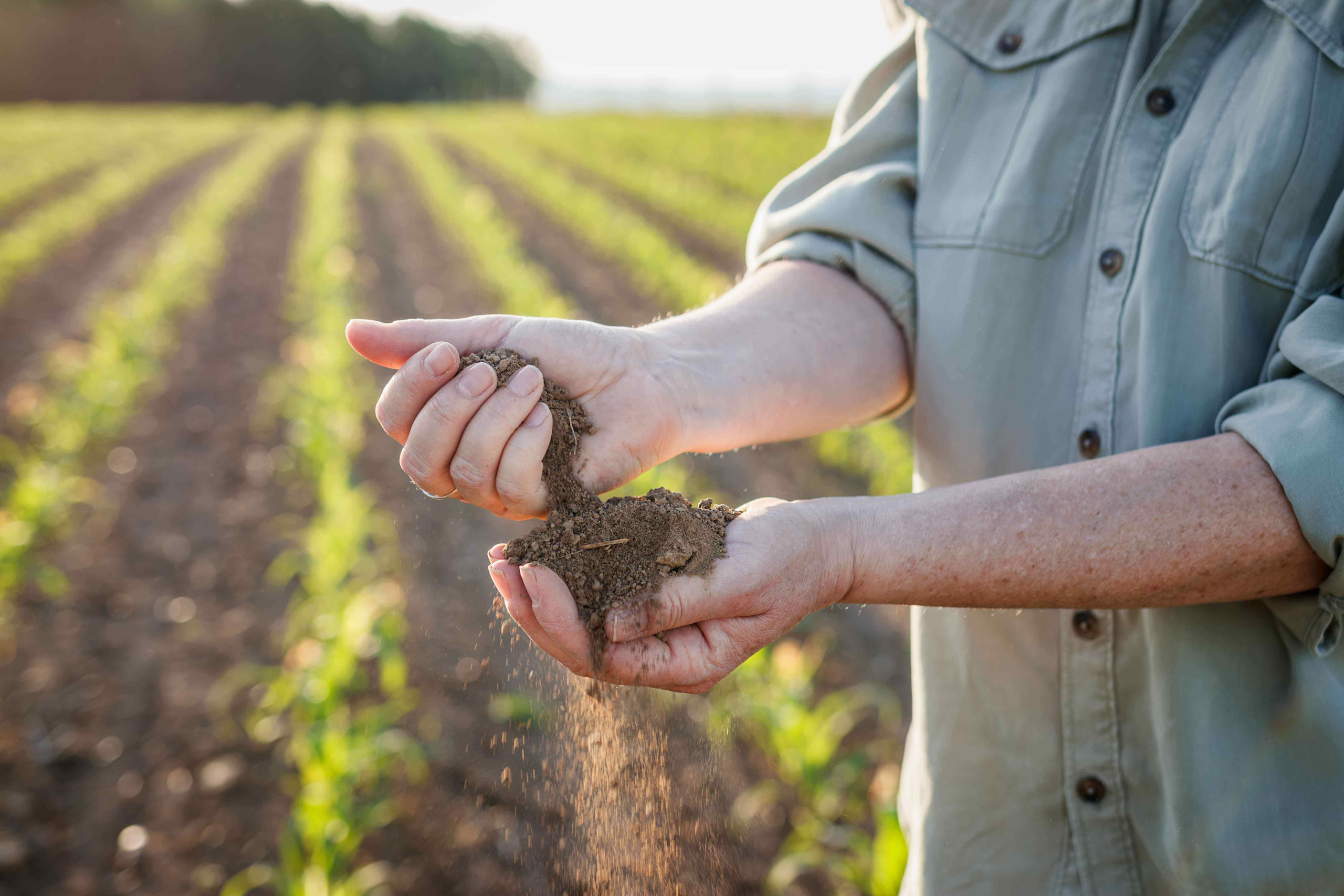 An agronomist in a Midwest crop field checking the soil for early season planting.

