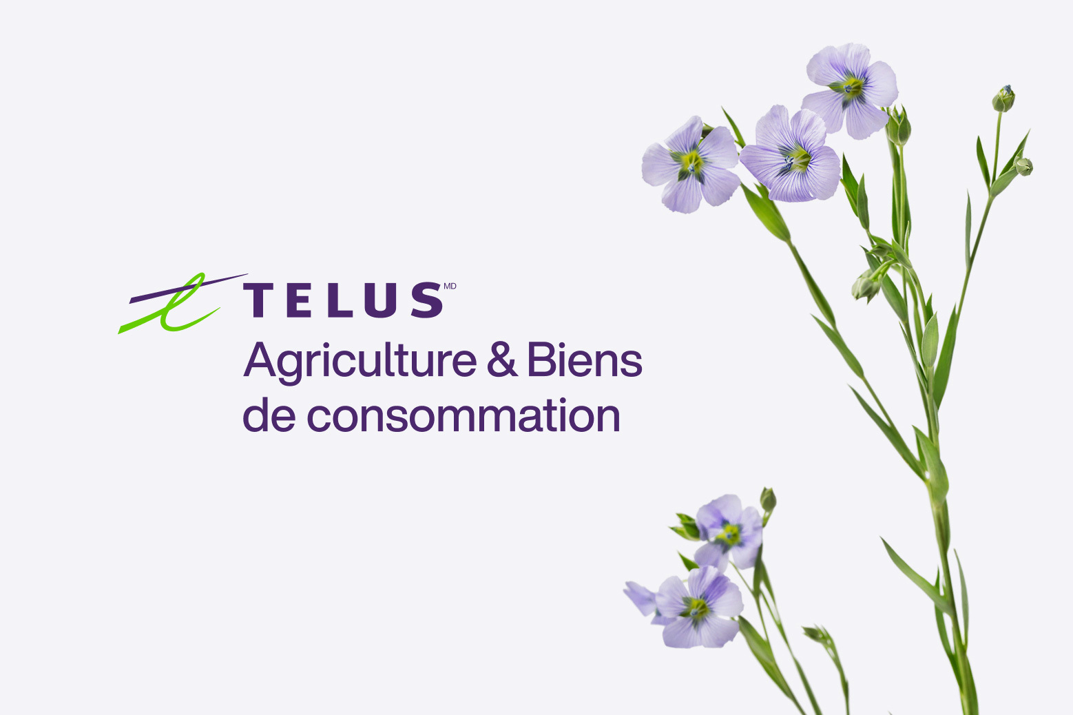 TELUS Agriculture élargit Ses Activités | TELUS Agriculture & Biens De ...