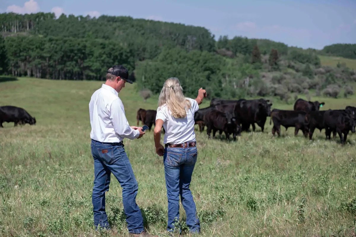 Man and woman overlooking pasture with cattle as woman points to them