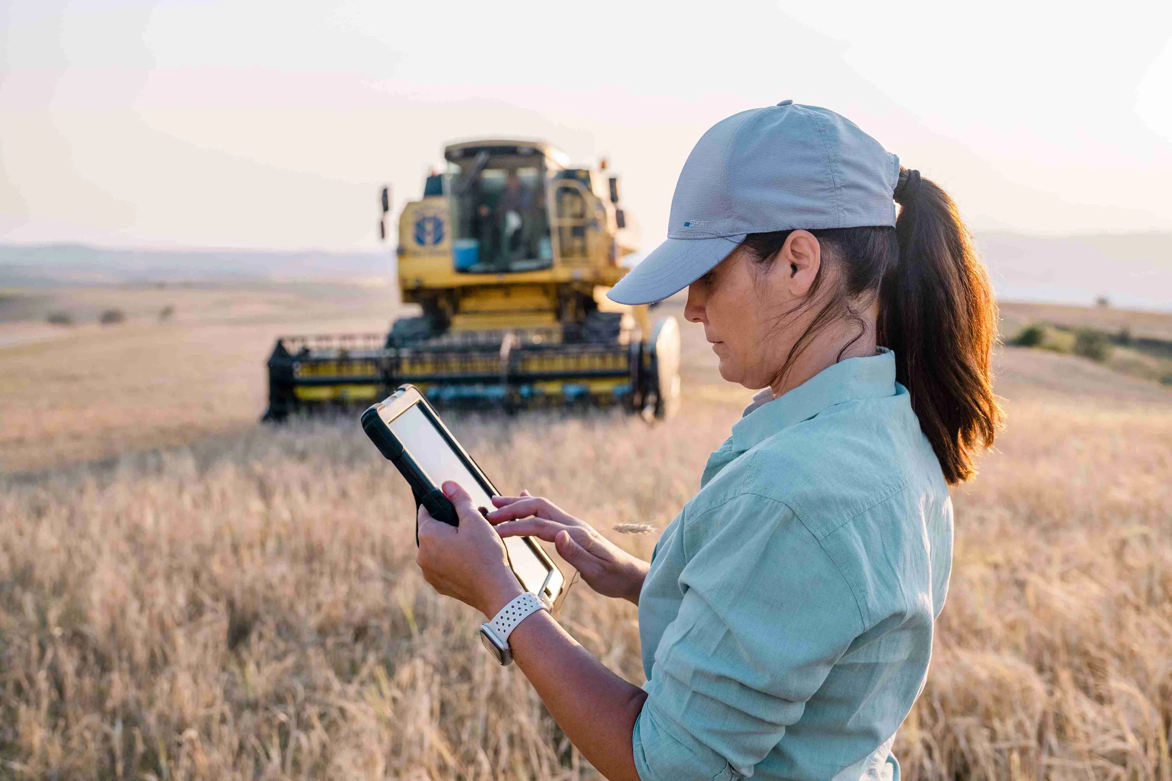 A female crop advisor in a field of dry cereal grain, using a tablet to check a digital agronomy platform. In the blurred background, a large yellow combine harvester is active at sunset.

