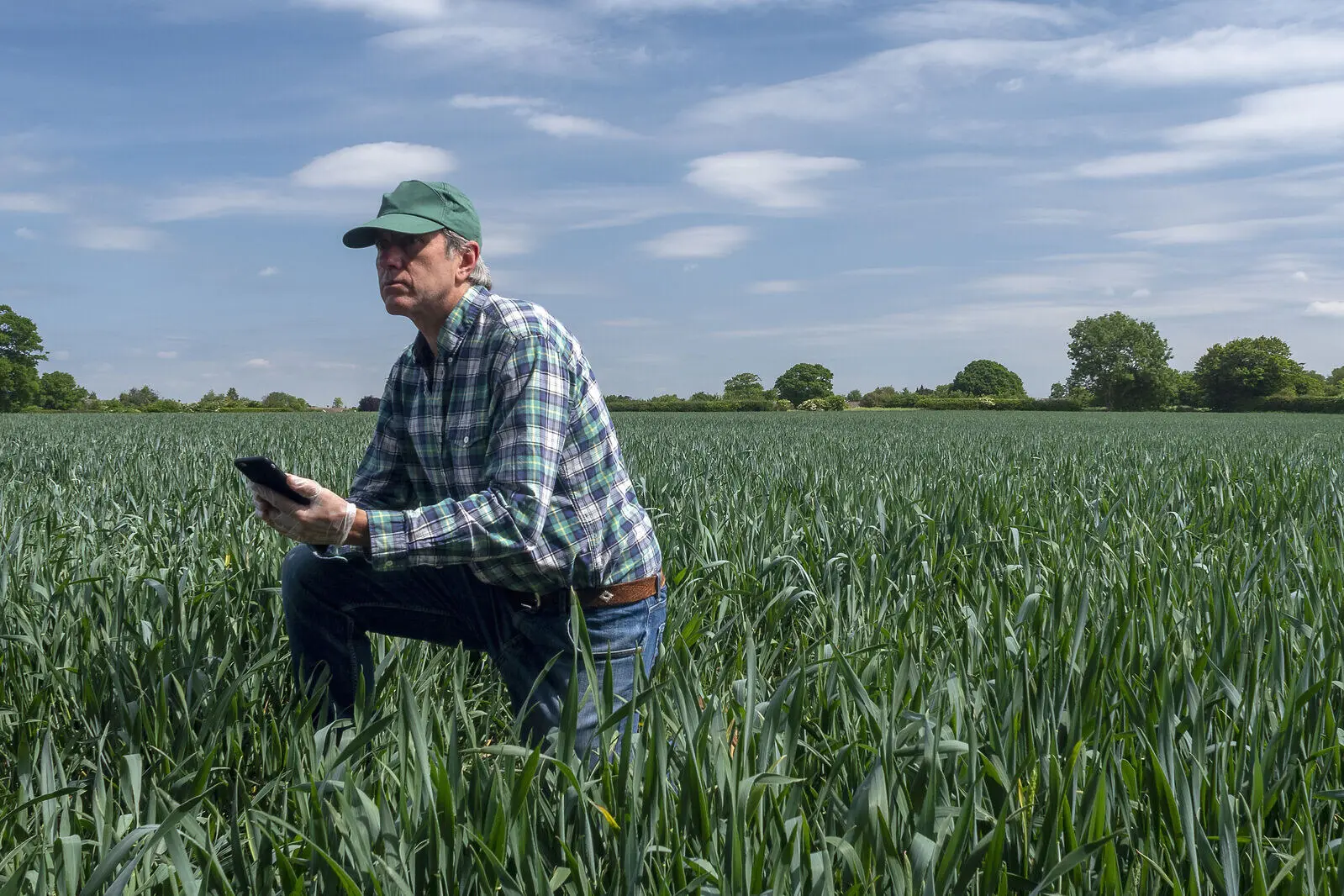 A UK grower in a field, using a farm management software app to manage farm operations.

