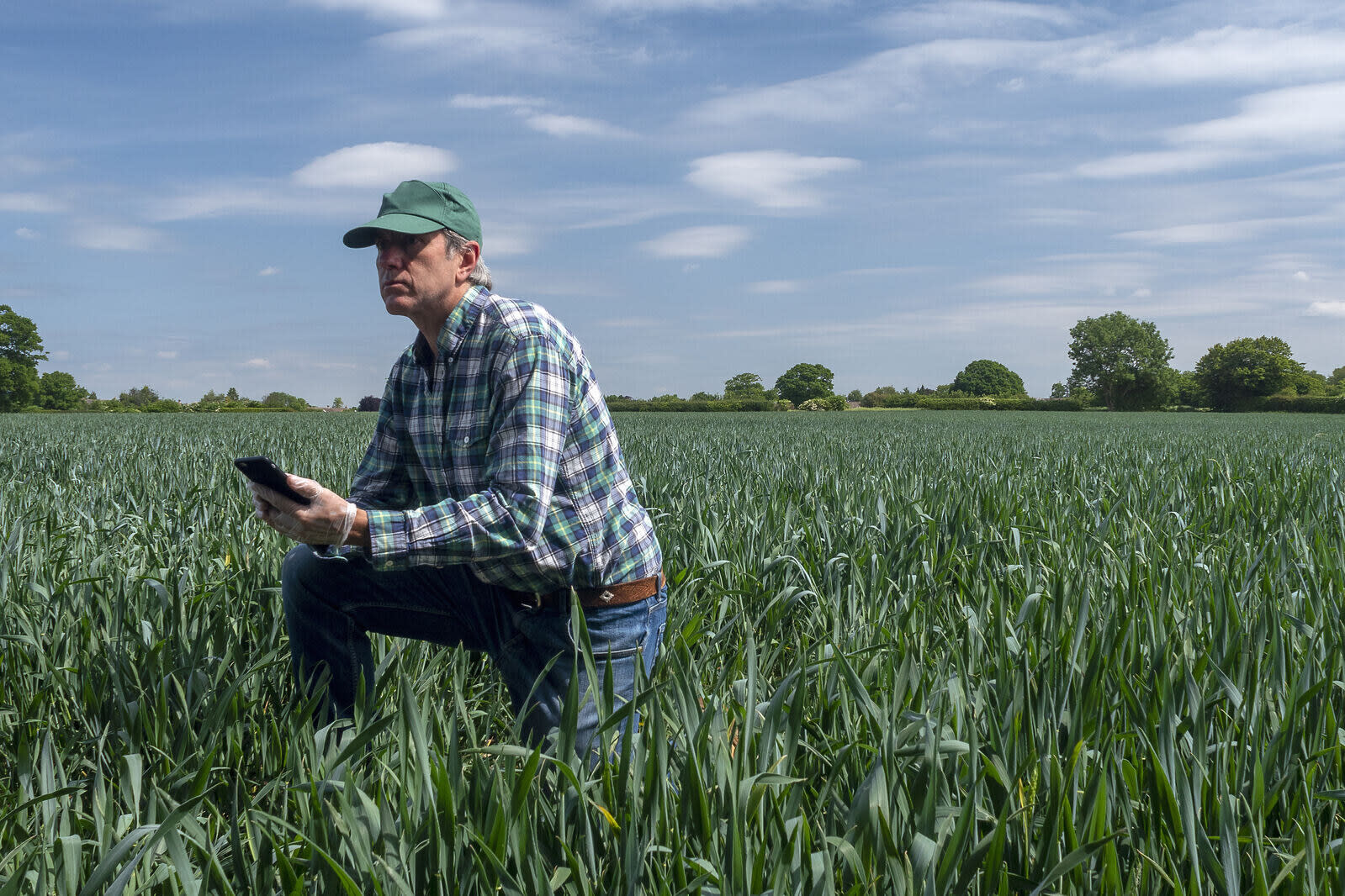 A UK grower in a field, using a farm management software app to manage farm operations.