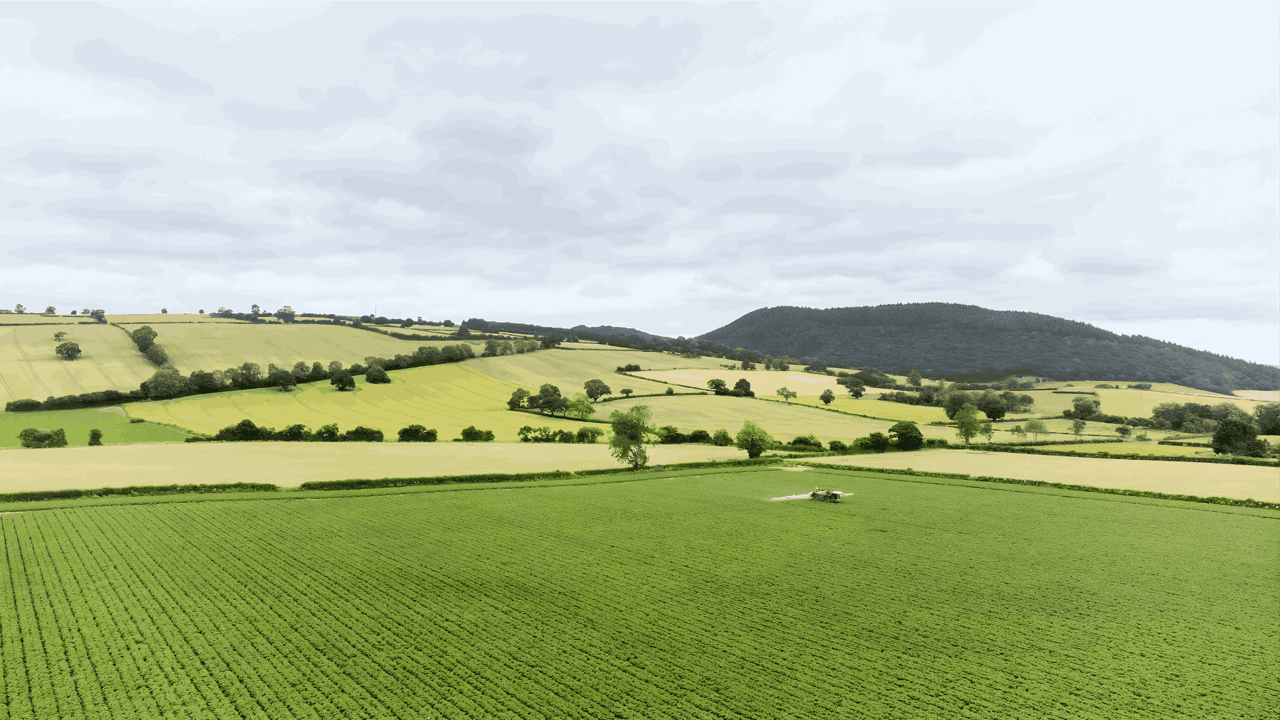 Tractor in the center of a green field symbolizing farm payroll and agricultural productivity.