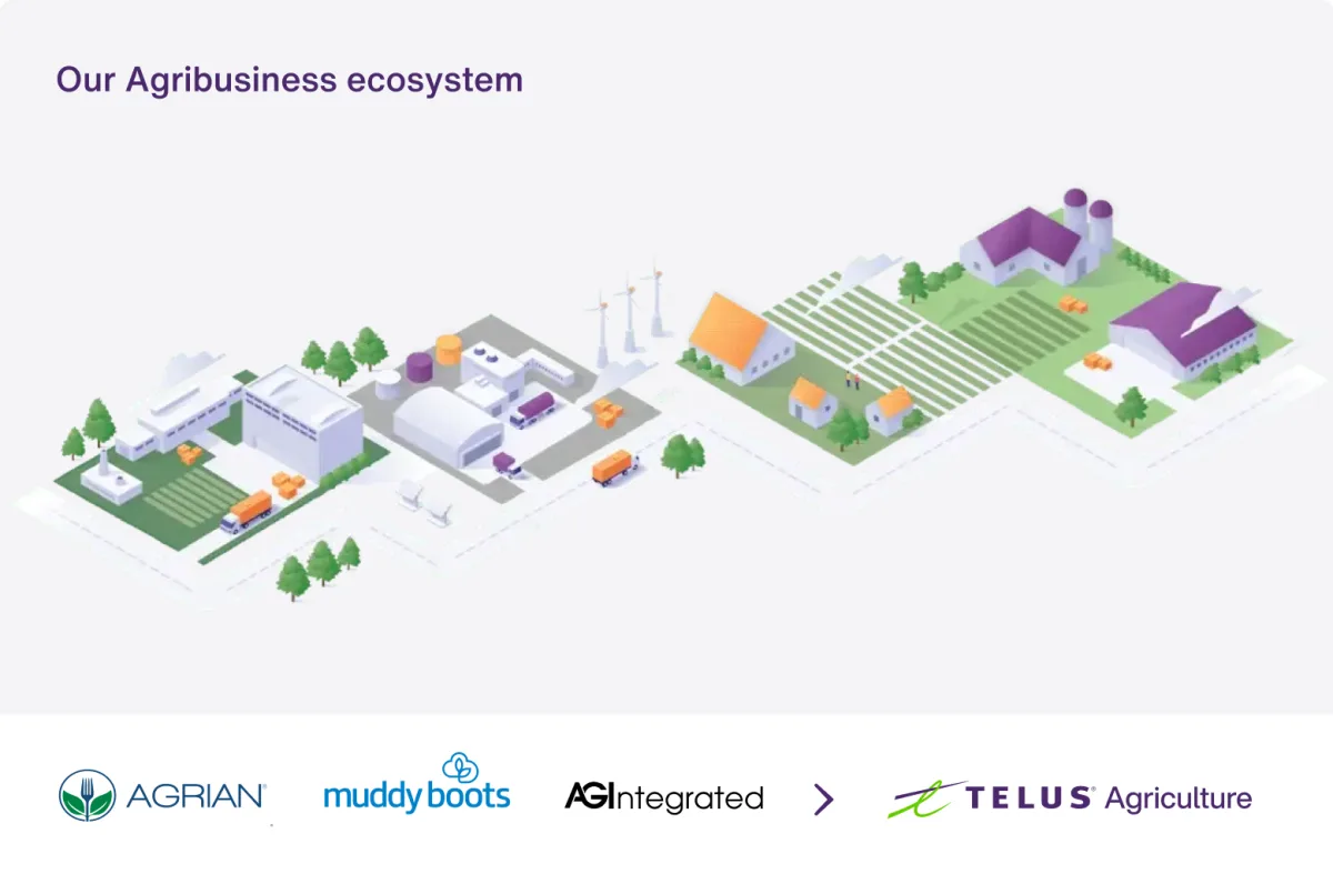 A 3D visualisation of the agribusiness ecosystem