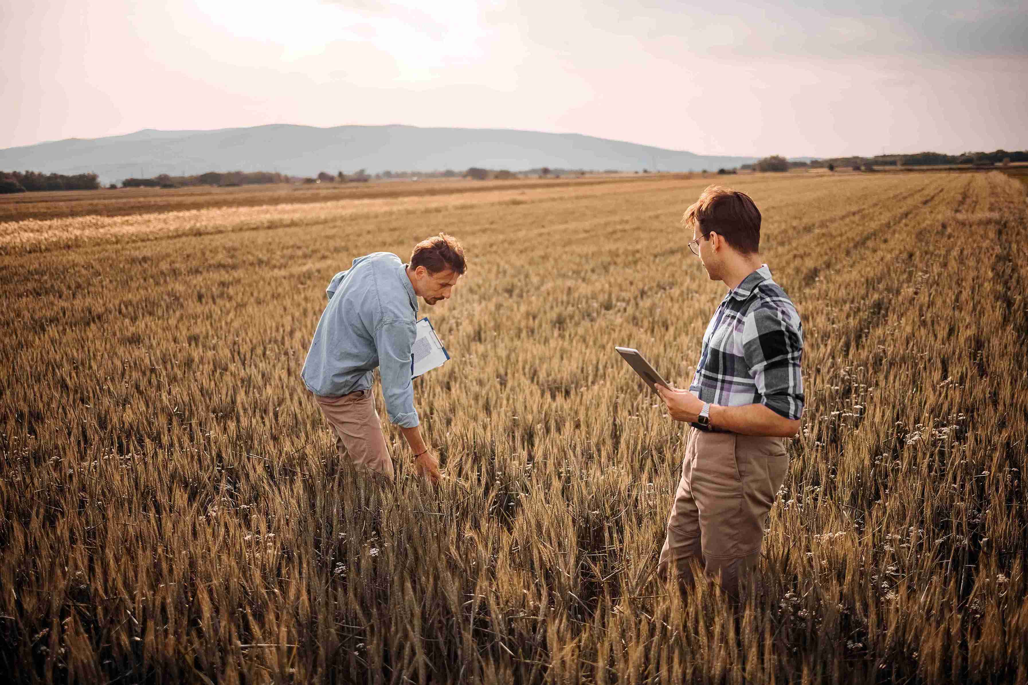 From harvest to strategy: how full-season data drives next year's plan