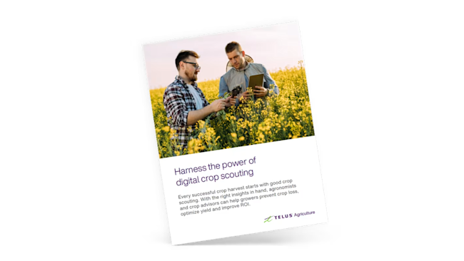 Modern crop scouting challenges and digital solutions