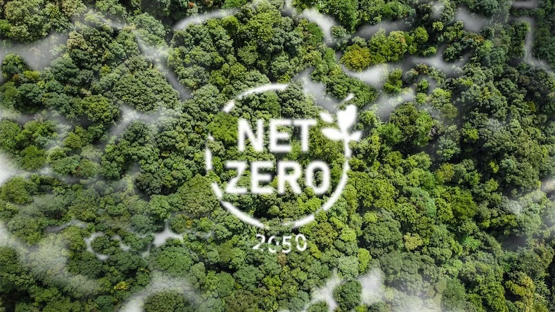 A downward view of a forest canopy with a cloud of mist in the round Net Zero 2050 logo.