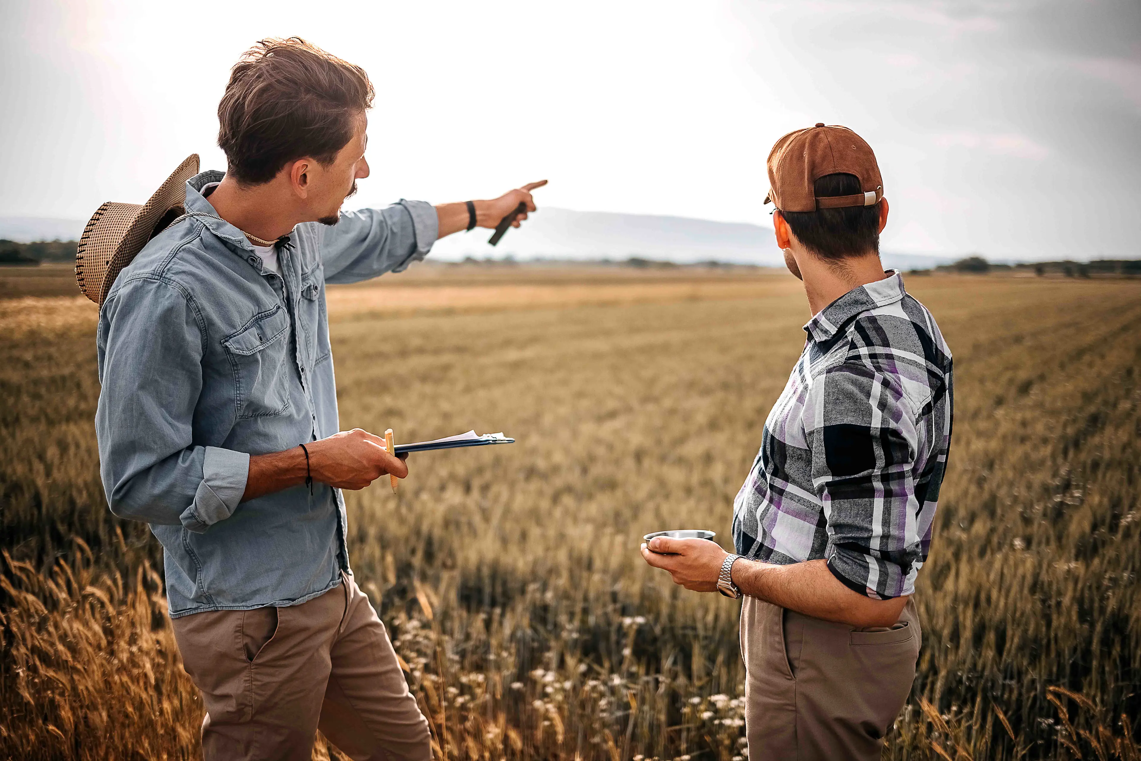 Deux hommes dans un champ discutant du rôle de la technologie dans l'amélioration du rendement des cultures grâce aux techniques agricoles modernes.