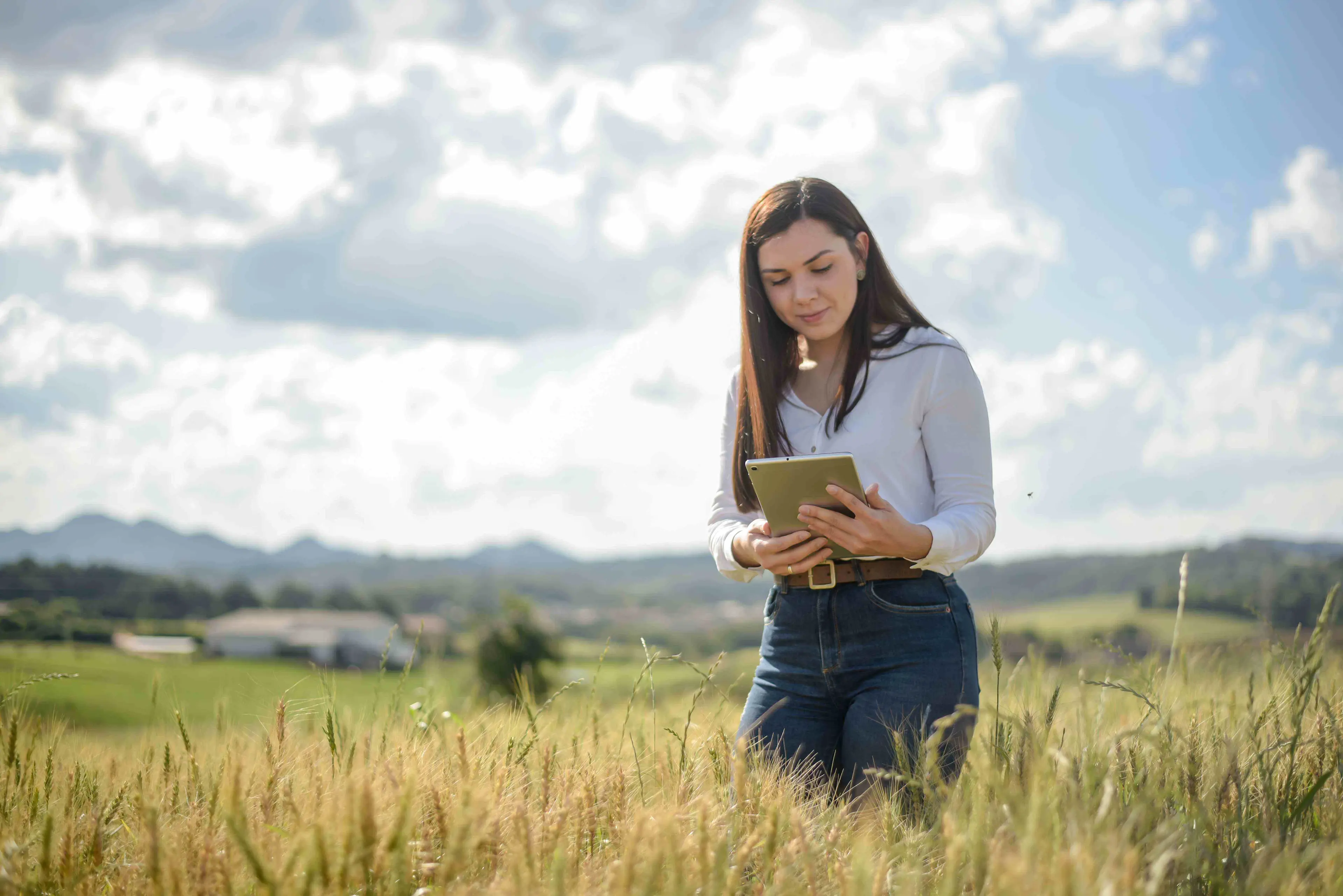 Female agronomist in a North American field using a tablet to analyze real-time crop data.

