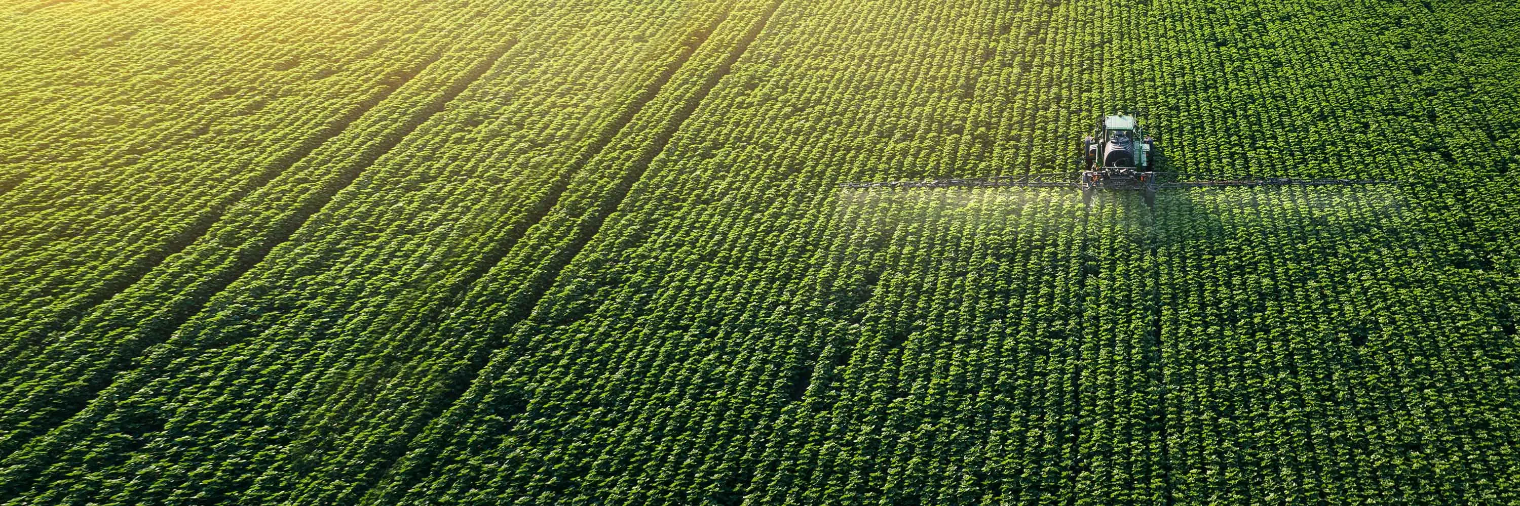 An aerial view of a tractor spraying a field.