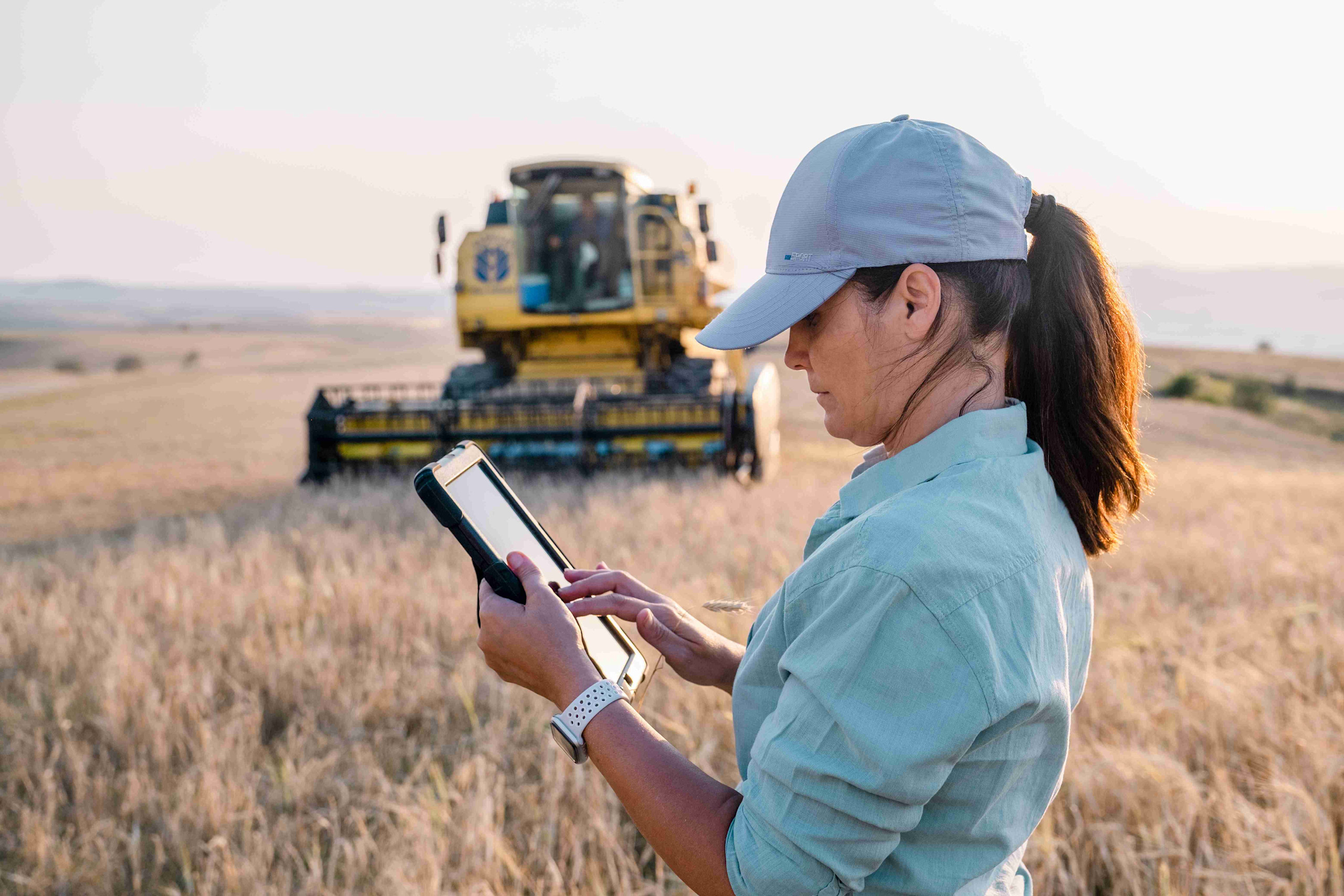 A woman wearing a hat uses a tablet in a field, managing farm accounting software.