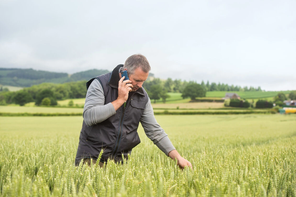 A UK grower stands in a field, speaking on his mobile phone, engaged in agritech discussions.

