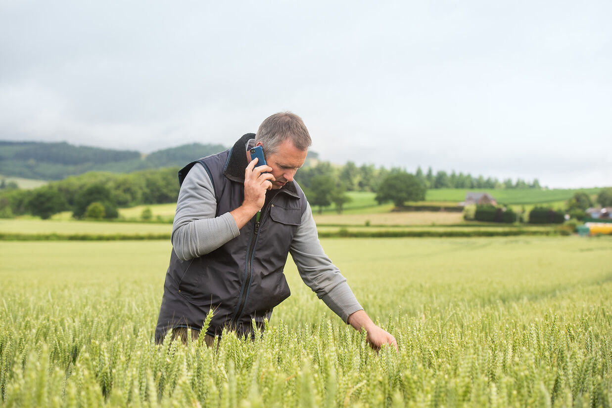A UK grower stands in a field, speaking on his mobile phone, engaged in agritech discussions.