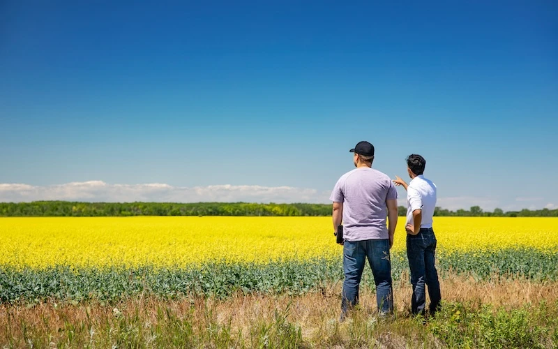 Two men standing, looking at a field outdoors.