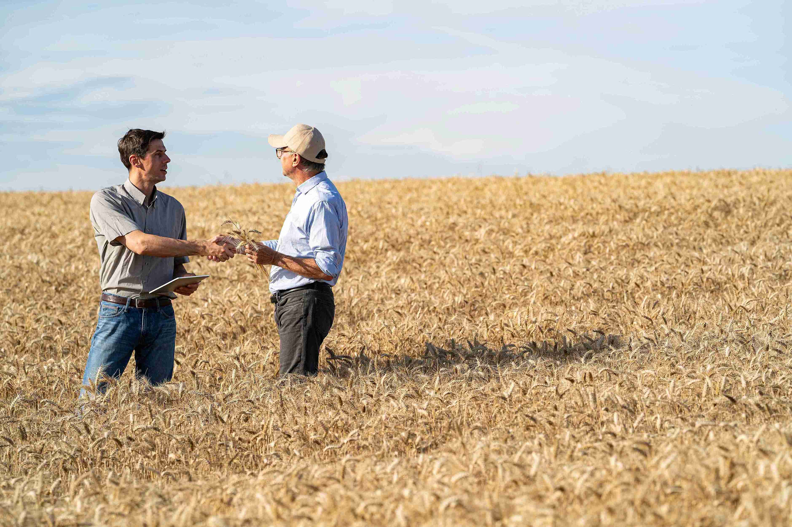 Two men in a field shaking hands, representing a collaboration in agricultural finance.