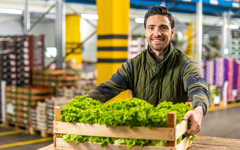 A food packer holding a basket filled with lettuce, preparing for FSMA 204 compliance