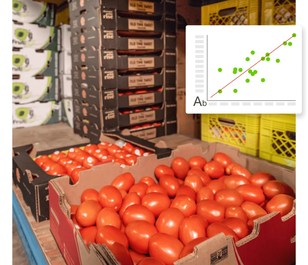 Tomatoes in boxes on a shelf in a warehouse