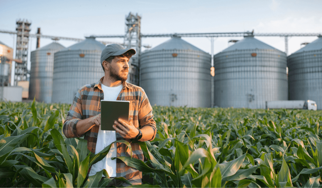 Agronomist in a corn field using digital agriculture technology