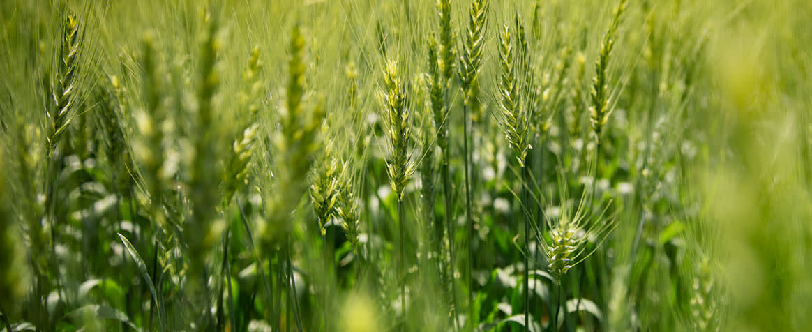 Agrian: Farm Management & Compliance Software | TELUS Agriculture ...