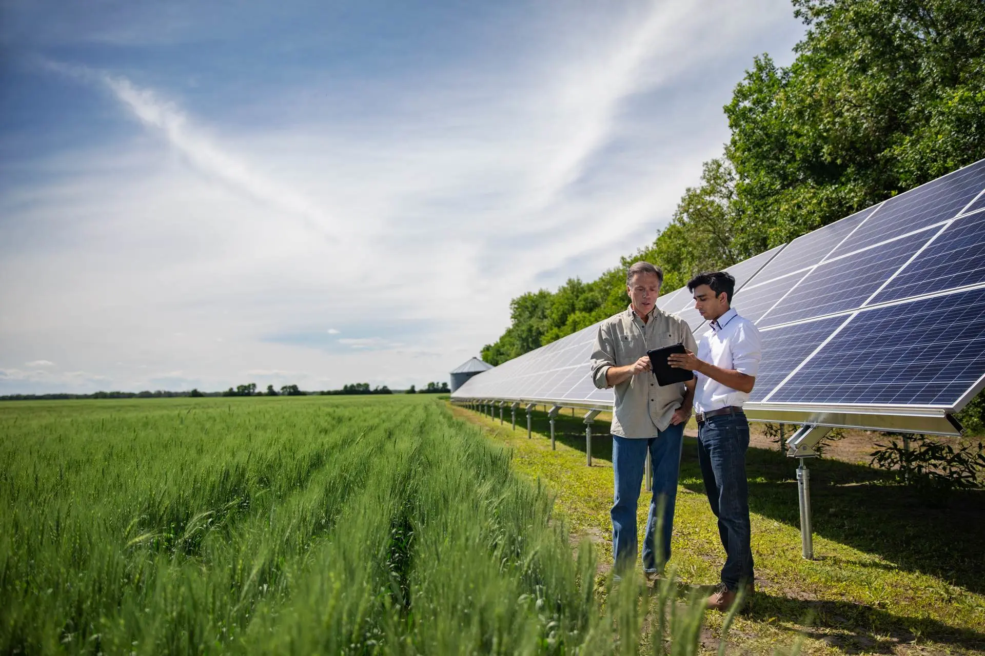 Farmer and consultant in field looking at tablet | TELUS Agriculture