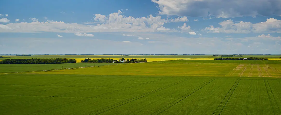 Image of a farm field.