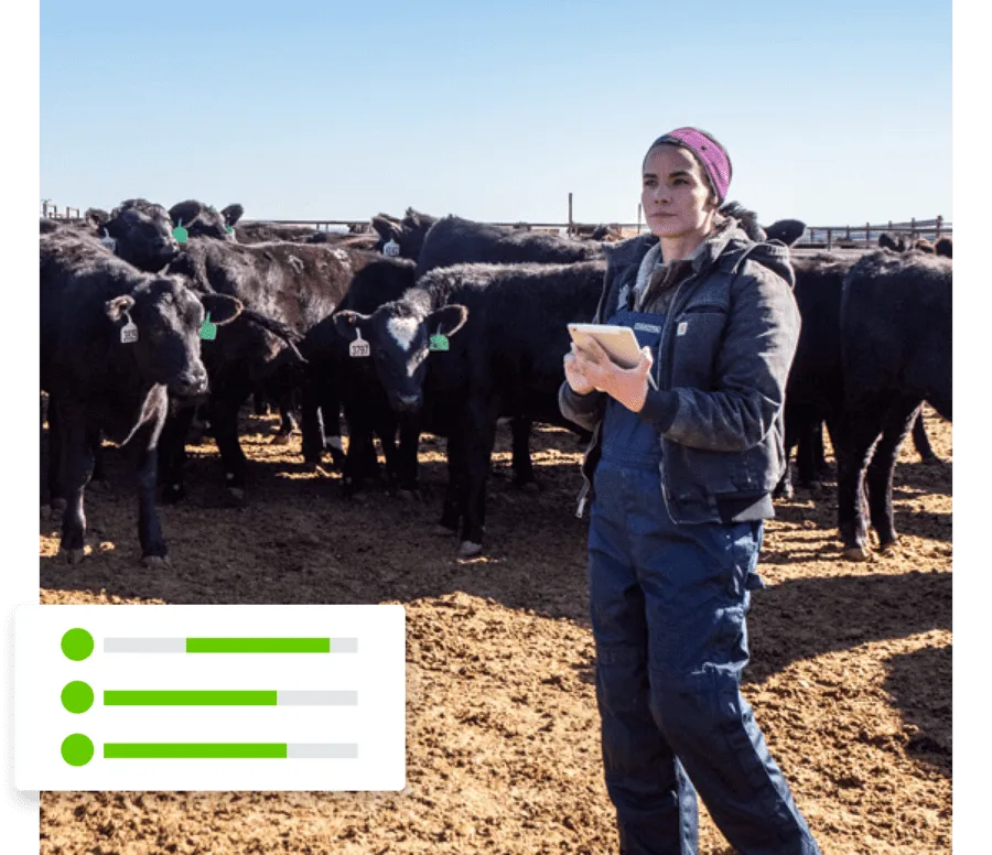 Une femme ayant une tablette dans les mains et se tenant devant un troupeau de vaches.