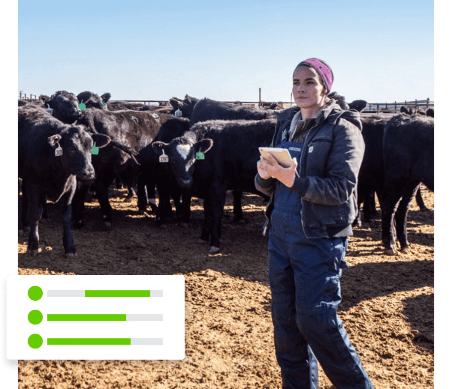 Une femme ayant une tablette dans les mains et se tenant devant un troupeau de vaches.