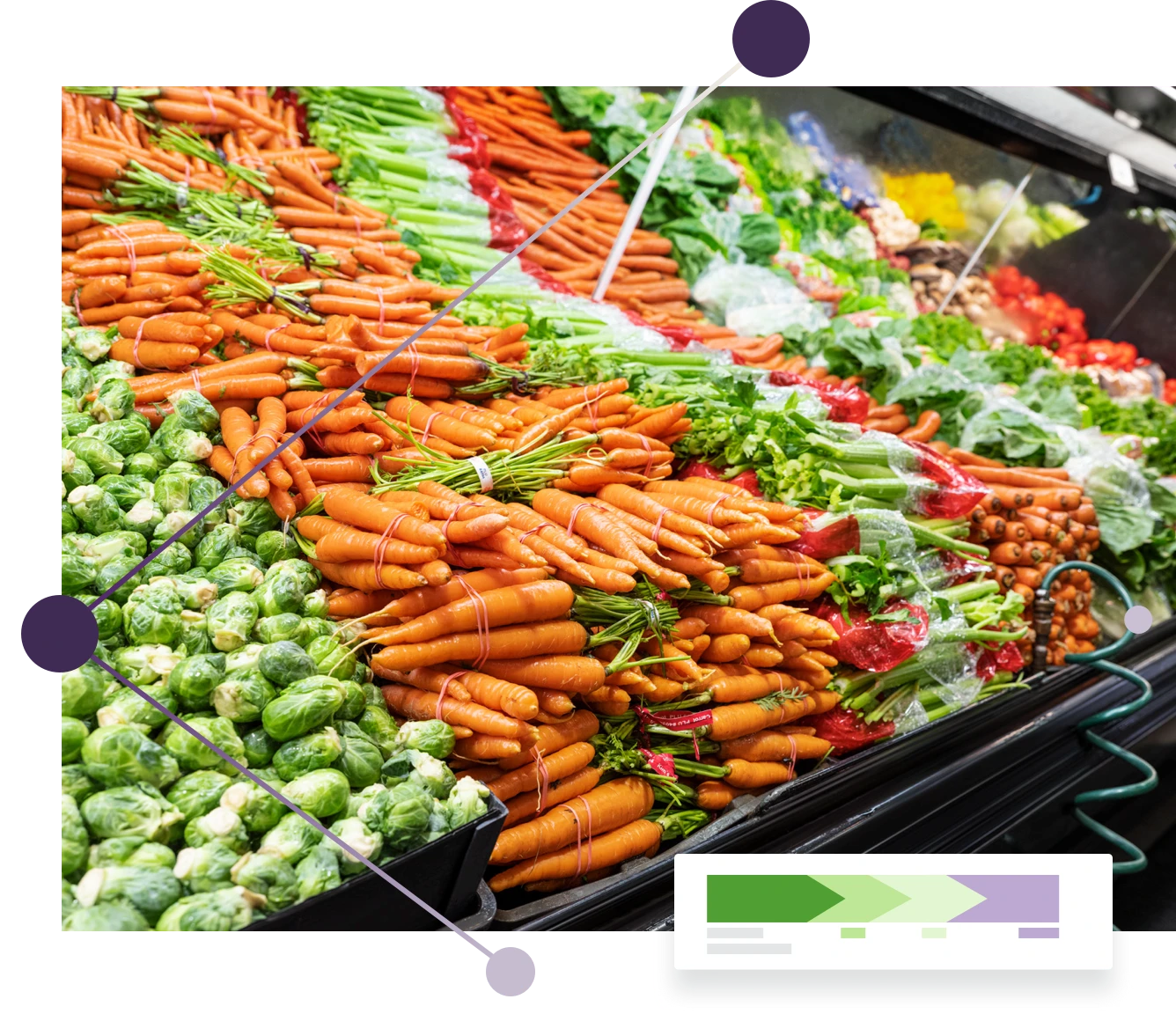 A display of vegetables in a grocery store.