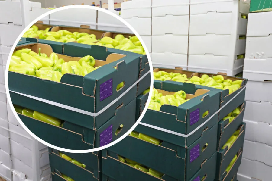 Crates of yellow peppers