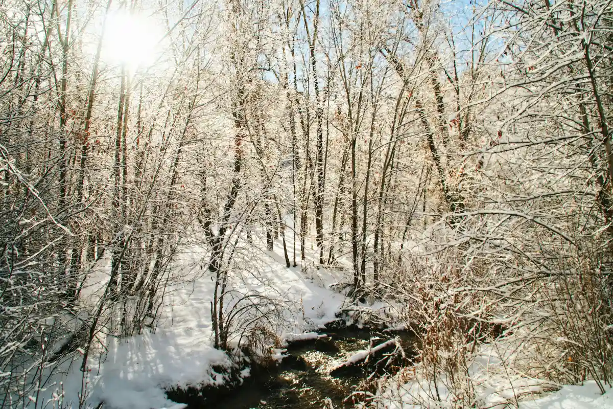 Provo, UT