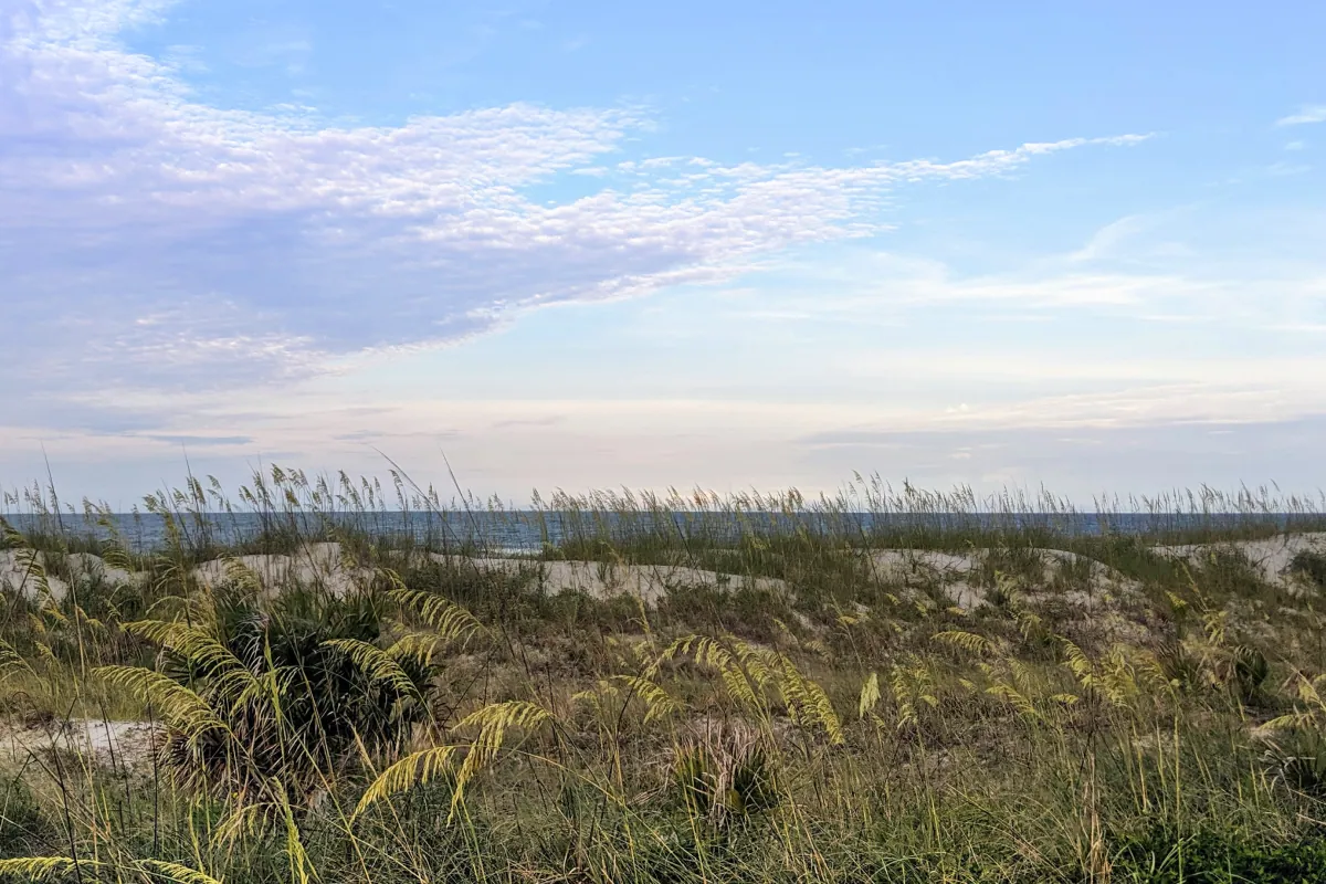 A quiet, undeveloped beach near Jacksonville, FL