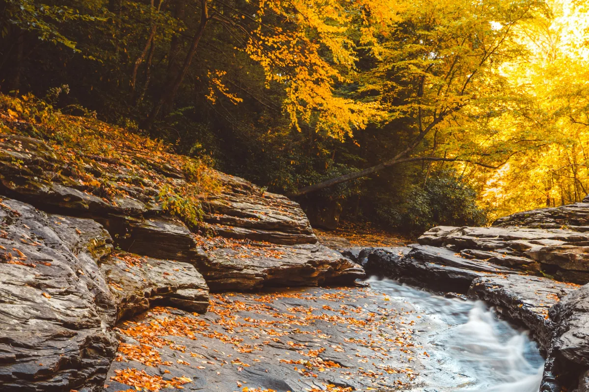 Rock formations around a stream surrounded by golden leaves