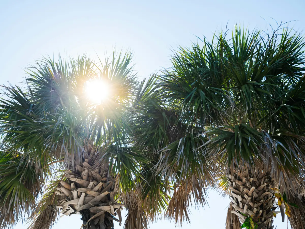 Gulf Coast beaches and barrier islands near Fort Myers, FL