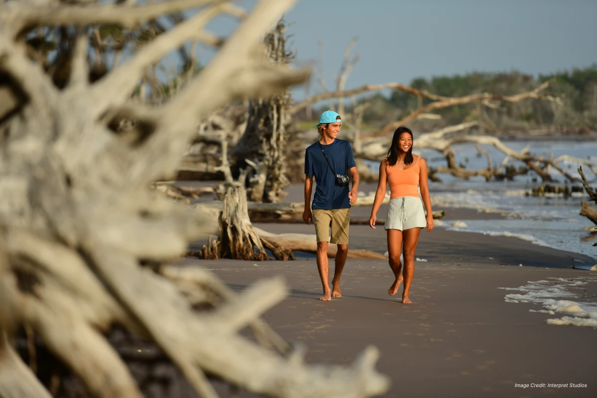 Boneyard Beach at Big Talbot Island State Park near Jacksonville