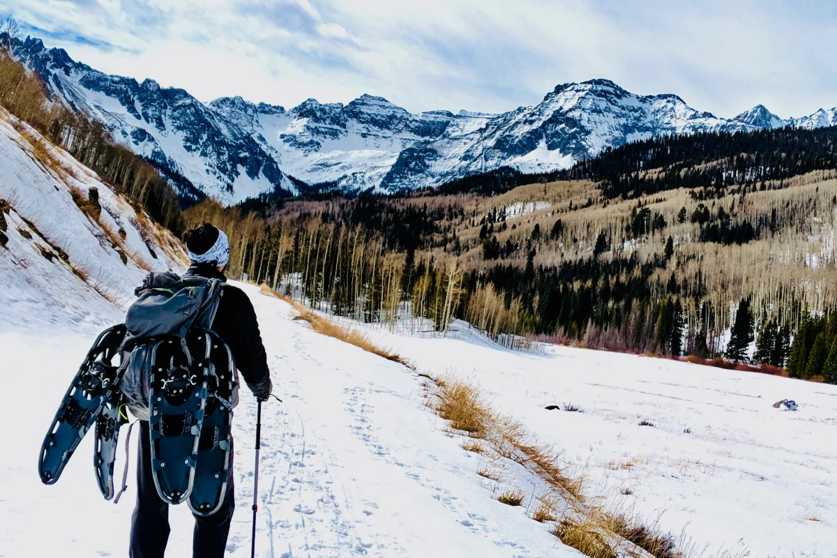 Montrose, CO