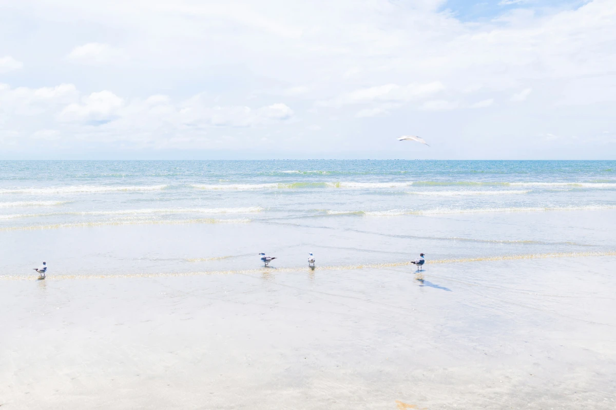 Sullivan's Island beach near Charleston, SC