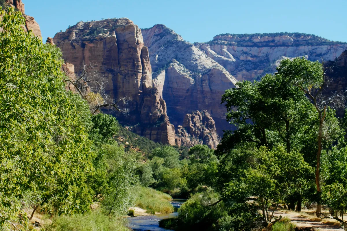 The multi-colored cliffs and greenery in Zion National Park