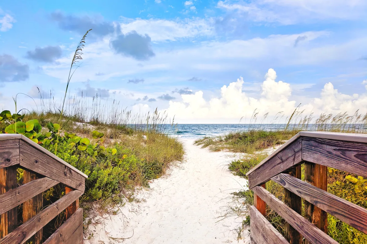 Sand and grass leading to the ocean