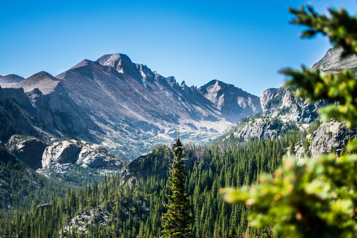 Pine trees and a hint of a glacier in Rocky Mountain National Park