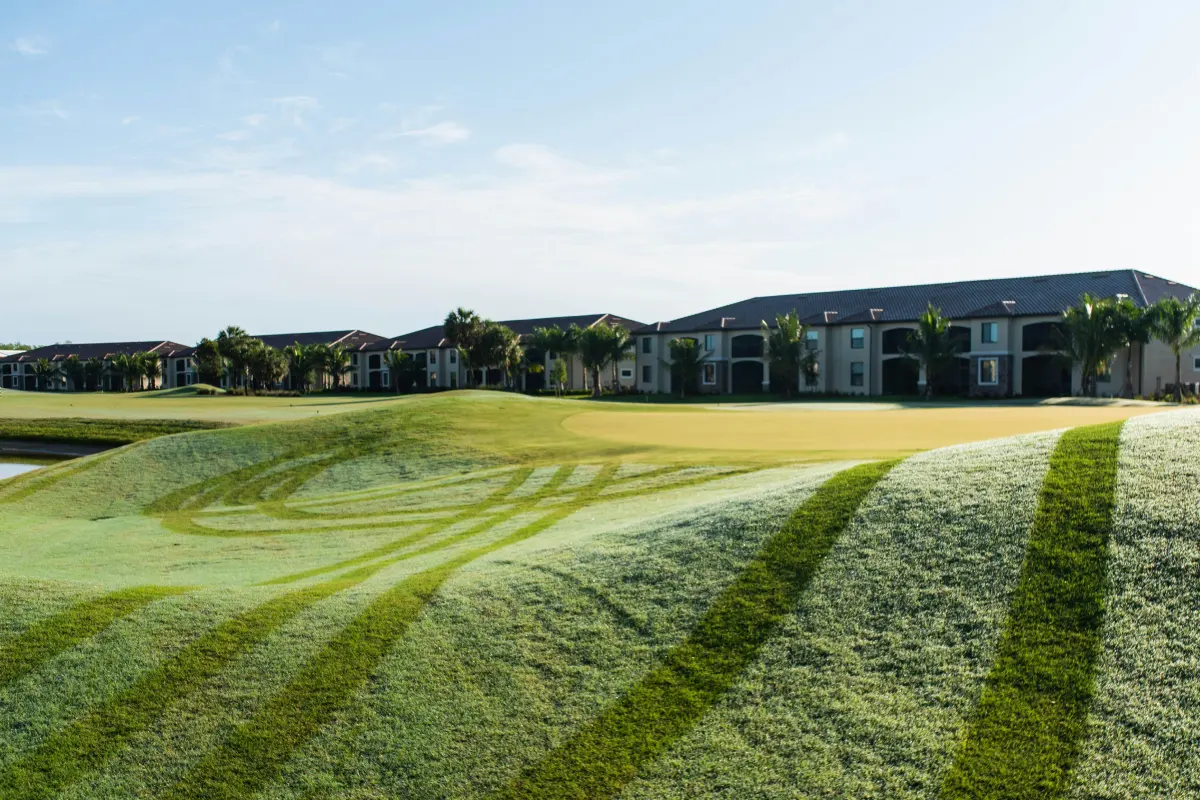 Palm-lined golf fairway under a blue sky