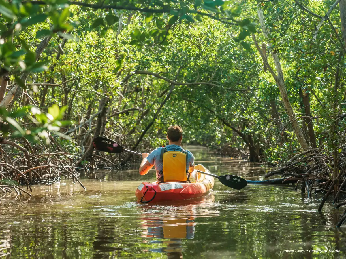 Outdoor wildlife and nature near Fort Myers, FL