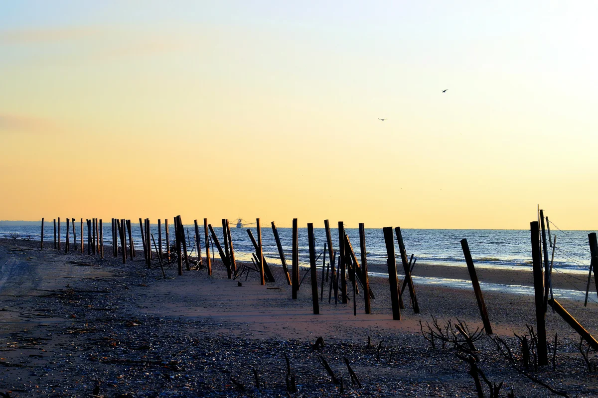 Edisto Beach south of Charleston, SC