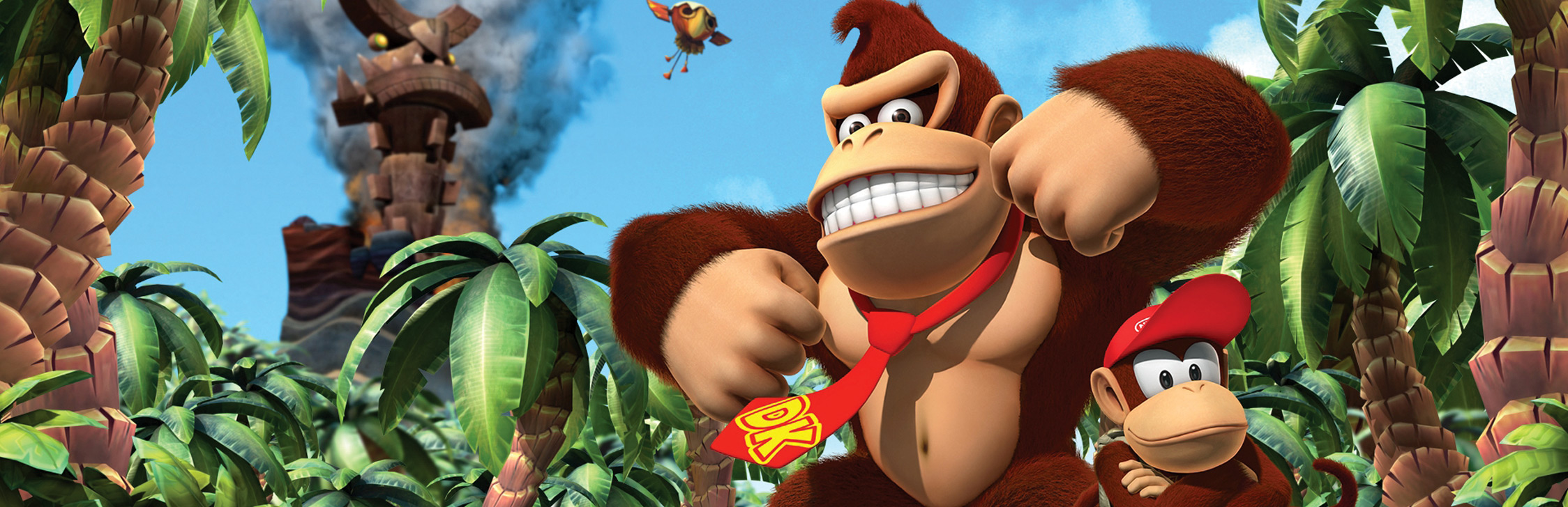 Contact Nintendo Ds SNES Donkey Kong Country Label Retro - Main Image