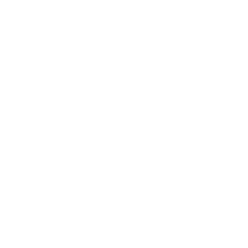 Salomon logo