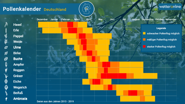 Pollenflug Deutschland - Pollenbelastung aktuell - WetterOnline