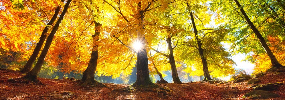 Herbstanfang Wetterlexikon Von A Bis Z
