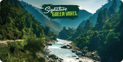 Signature Green Vibes event