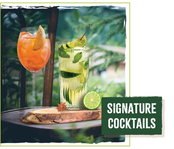Signature Cocktails — discover cocktail recipes
