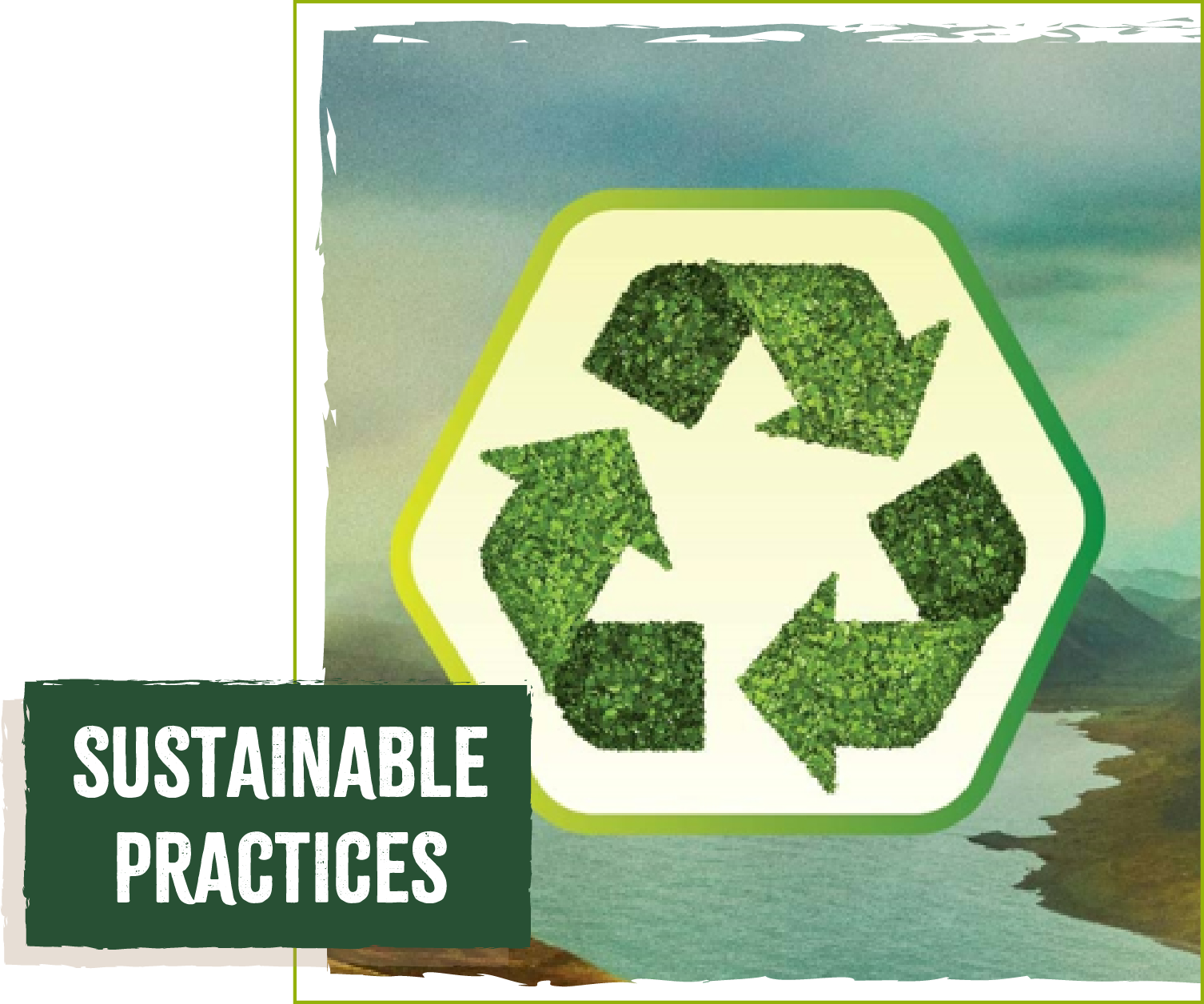 Sustainable practices — our commitment to sustainability